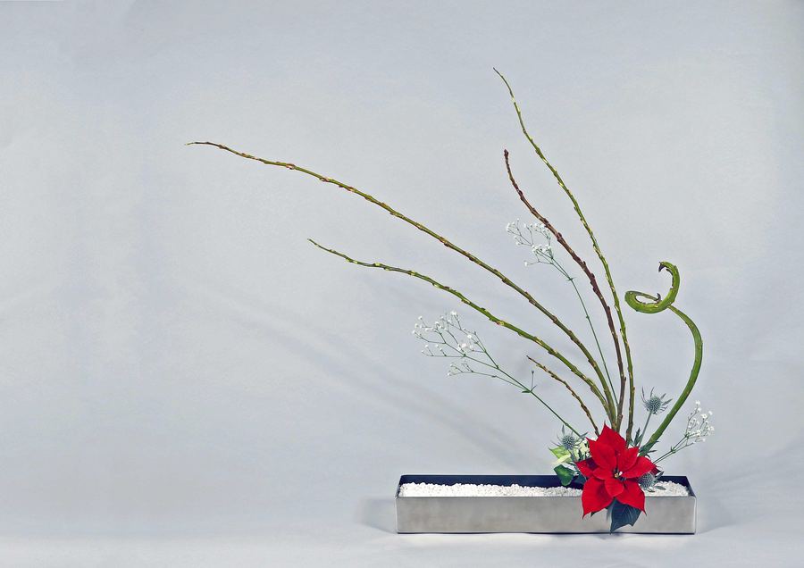 Jiyūka — Dezember 2021